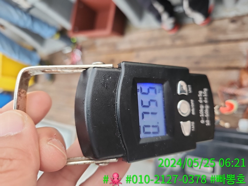 빠뽕호의 조황일지 이미지 - 13