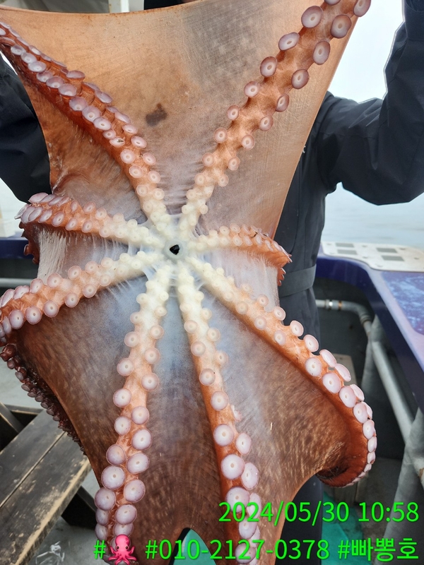 빠뽕호의 조황일지 이미지 - 3