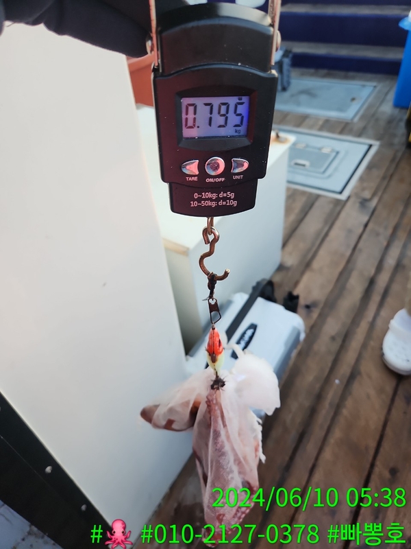 빠뽕호의 조황일지 이미지 - 2