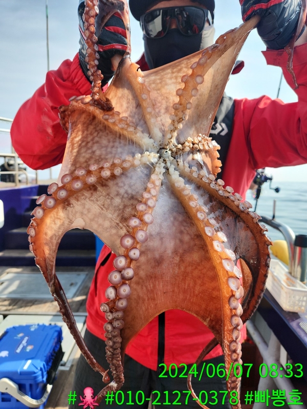 빠뽕호의 조황일지 이미지 - 9