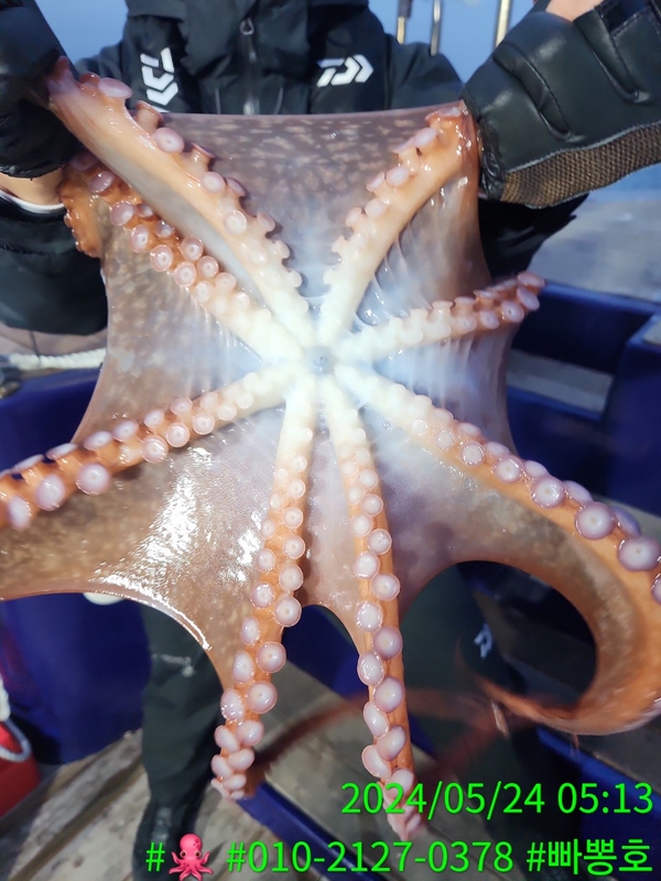 빠뽕호의 조황일지 이미지 - 5