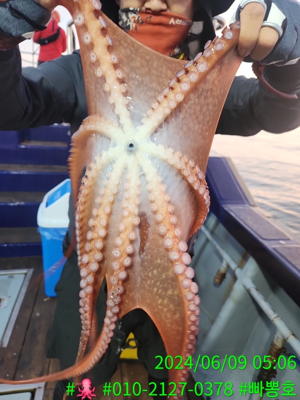 빠뽕호의 조황일지 이미지 - 18