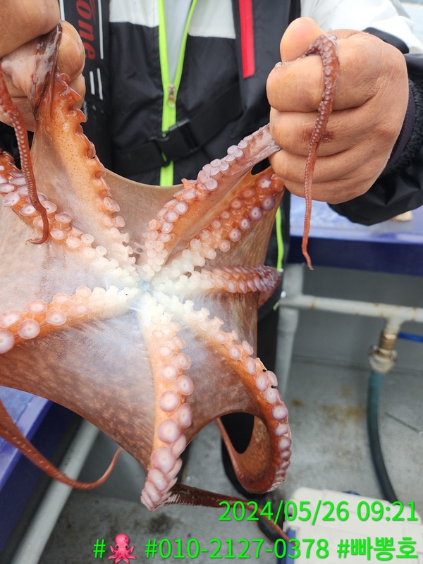 빠뽕호의 조황일지 이미지 - 10