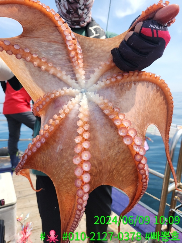 빠뽕호의 조황일지 이미지 - 7