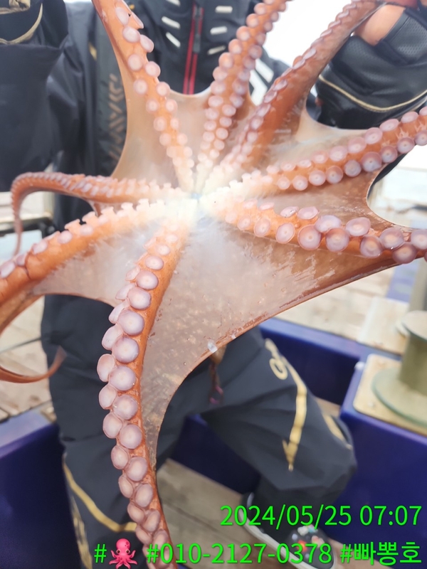 빠뽕호의 조황일지 이미지 - 7