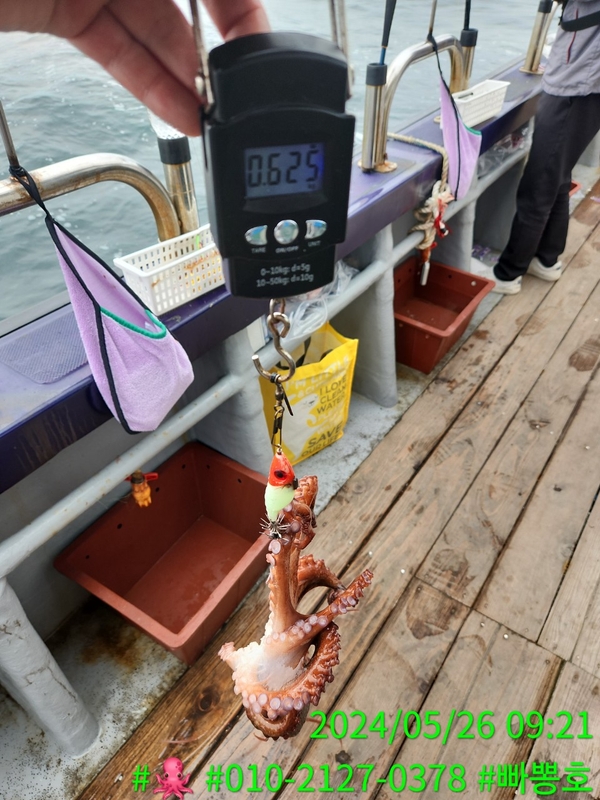 빠뽕호의 조황일지 이미지 - 12