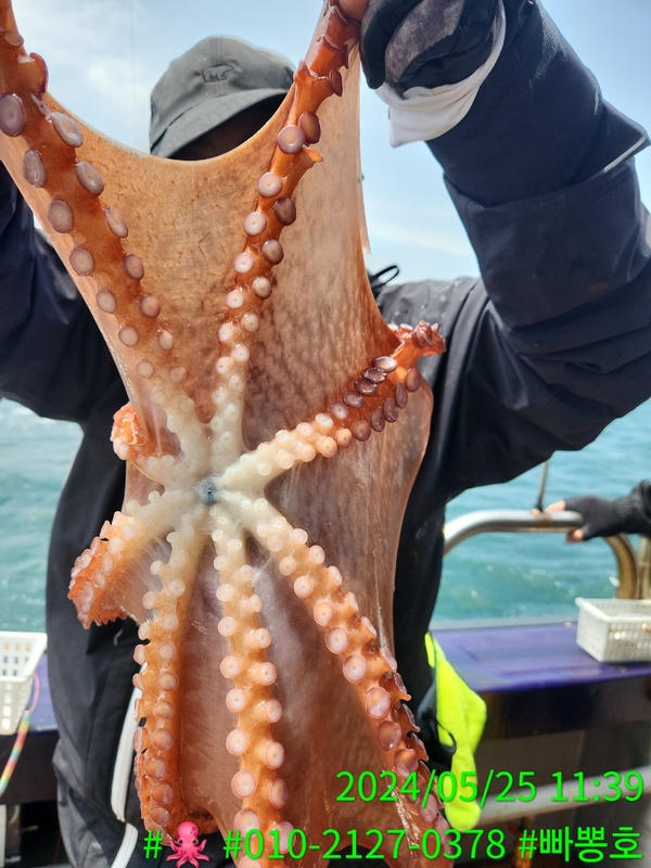 빠뽕호의 조황일지 이미지 - 1