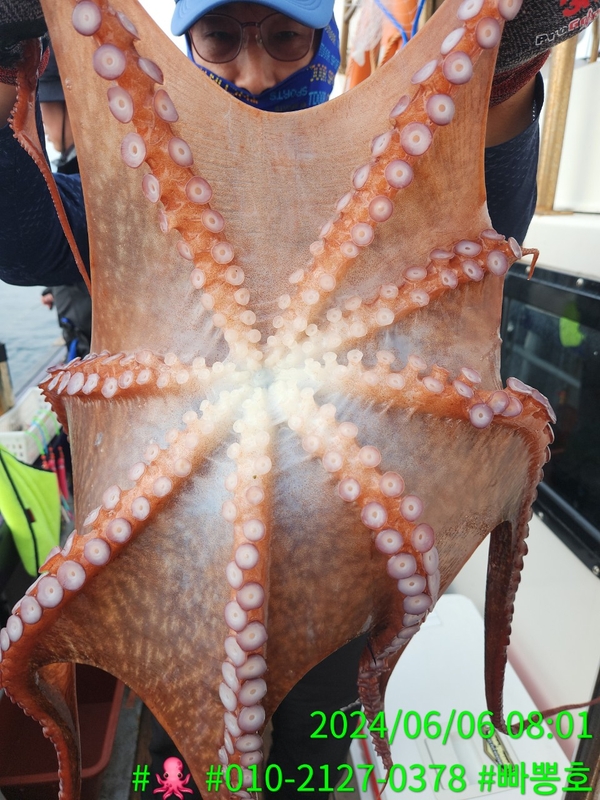 빠뽕호의 조황일지 이미지 - 19