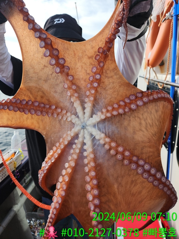 빠뽕호의 조황일지 이미지 - 11