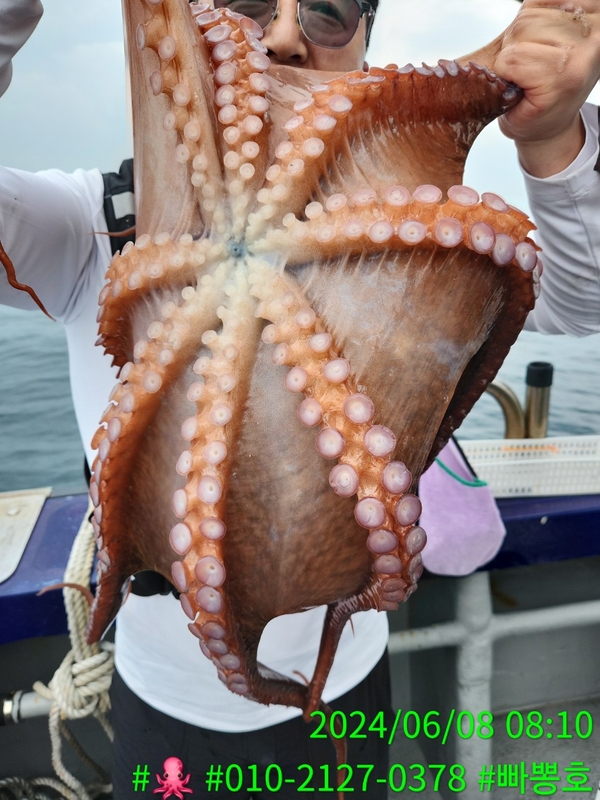 빠뽕호의 조황일지 이미지 - 9