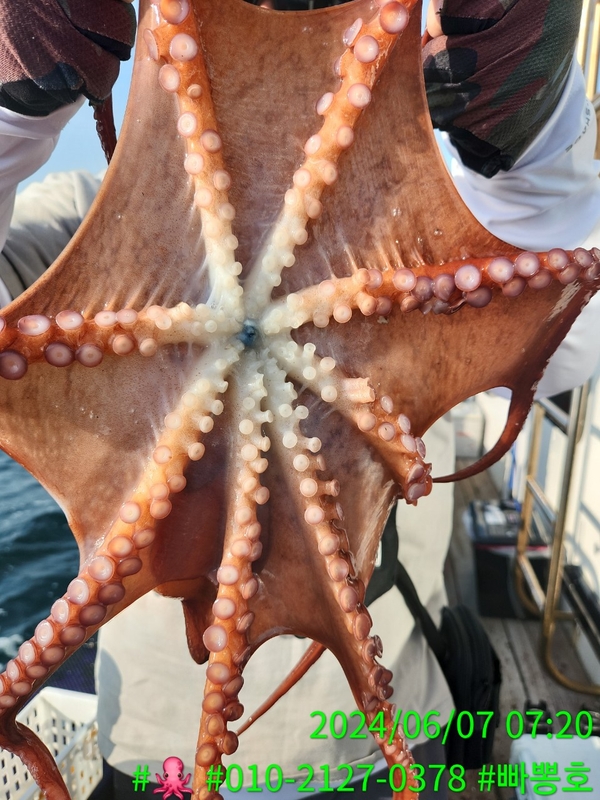 빠뽕호의 조황일지 이미지 - 16