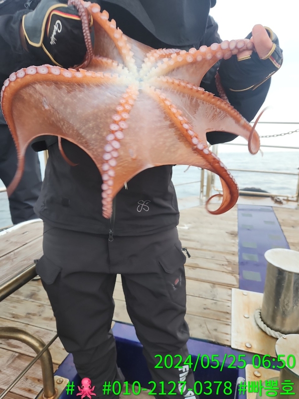 빠뽕호의 조황일지 이미지 - 6