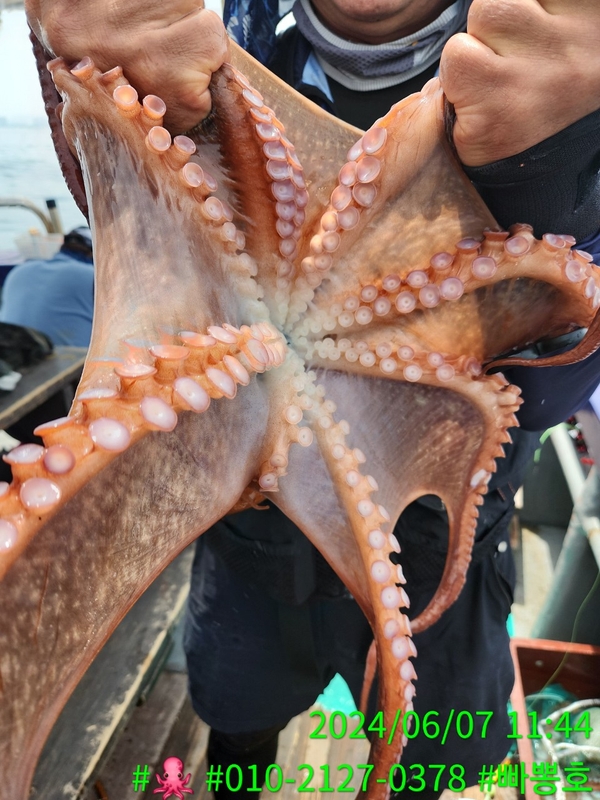 빠뽕호의 조황일지 이미지 - 3