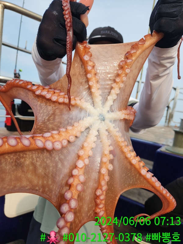 빠뽕호의 조황일지 이미지 - 13