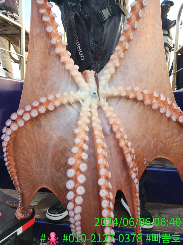 빠뽕호의 조황일지 이미지 - 2