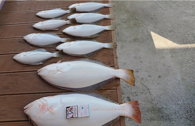 해당 선사를 대표하는 이미지