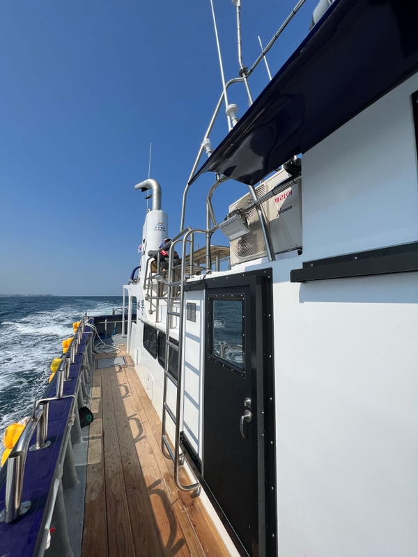 해당 선사를 대표하는 이미지