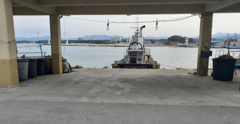 해당 선사를 대표하는 이미지