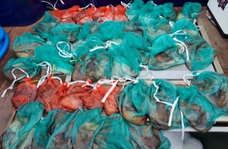 해당 선사를 대표하는 이미지