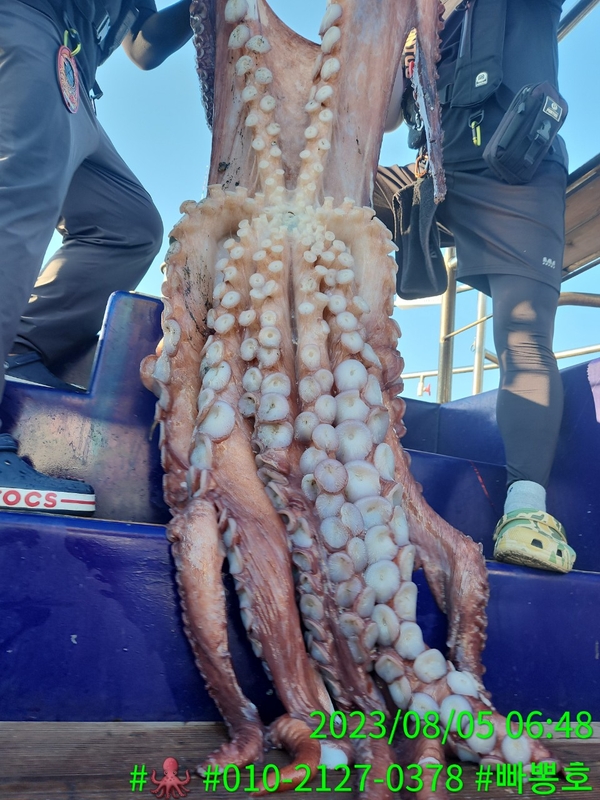 해당 선사를 대표하는 이미지