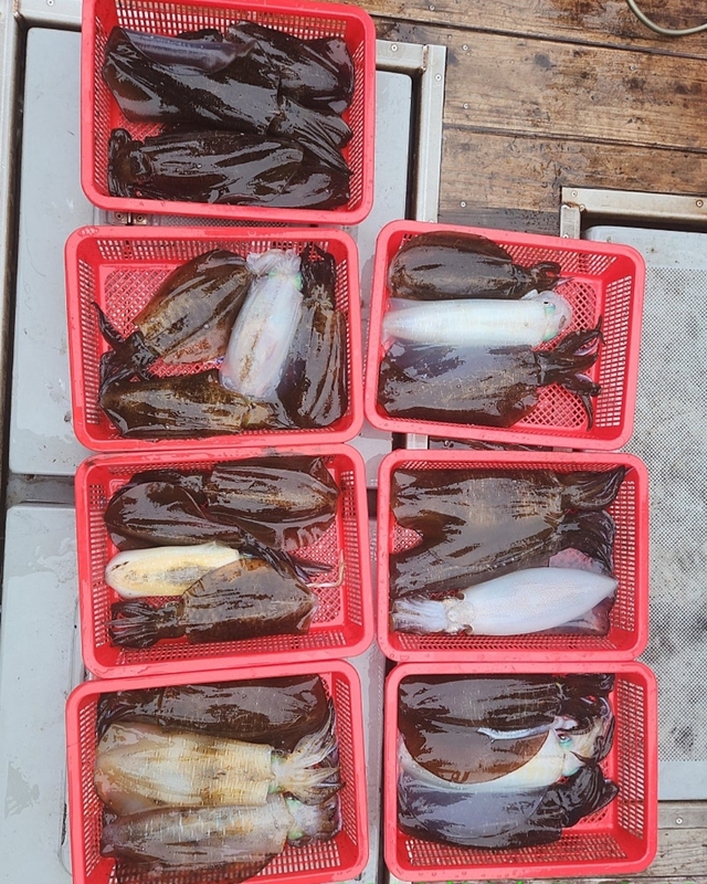 해당 선사를 대표하는 이미지