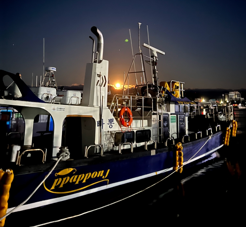 해당 선사를 대표하는 이미지