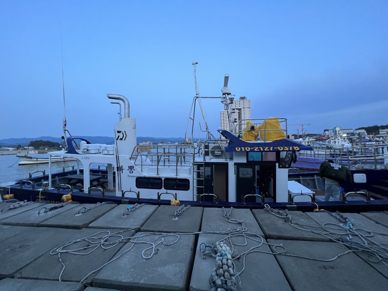 해당 선사를 대표하는 이미지