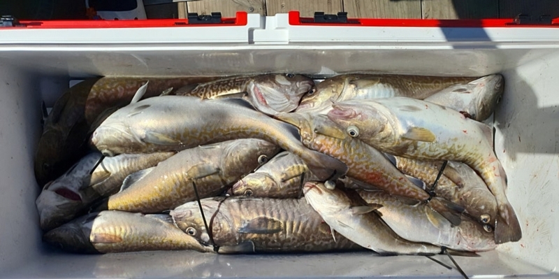 해당 선사를 대표하는 이미지