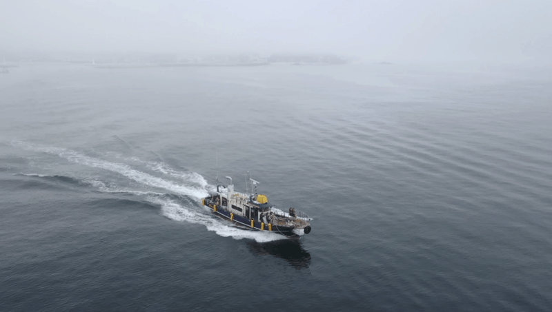 해당 선사를 대표하는 이미지