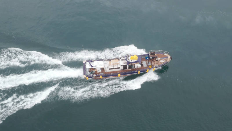 해당 선사를 대표하는 이미지