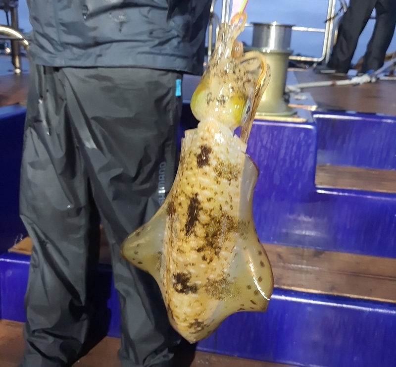 해당 선사를 대표하는 이미지