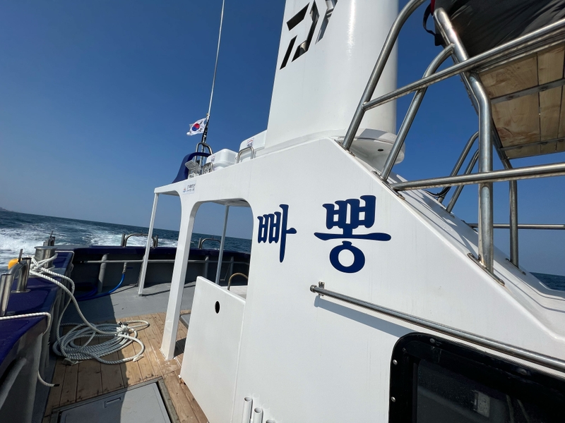 해당 선사를 대표하는 이미지