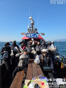 29일 쭈꾸미 조황 선상낚시로 잡은 물고기 조황