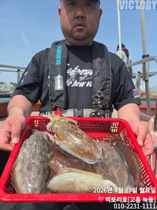 요즘 봄갑오징어와 붉바리외수질이 한창 입니다. 선상낚시로 잡은 물고기 조황
