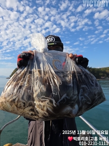 녹동 왕쭈가 잘 나오고있네요 선상낚시로 잡은 물고기 조황