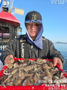 녹동[빅토리호]11/29 쭈꾸미 조황 선상낚시로 잡은 물고기 조황