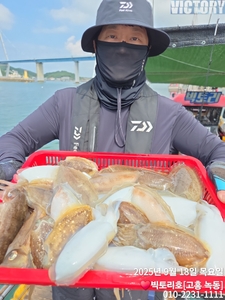 18일 갑오징어 조황 선상낚시로 잡은 물고기 조황
