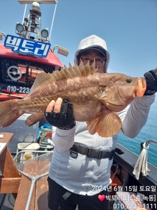 봄갑.붉바리외수질 출항 일정 선상낚시로 잡은 물고기 조황