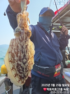 25일 봄갑 조황 전합니다 선상낚시로 잡은 물고기 조황