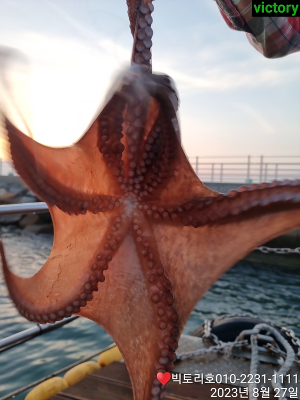 해당 선사를 대표하는 이미지