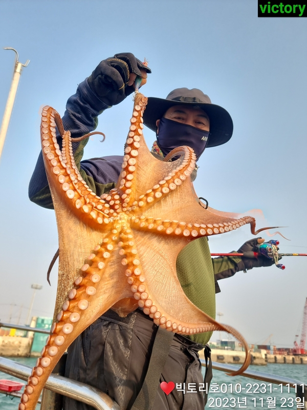 해당 선사를 대표하는 이미지