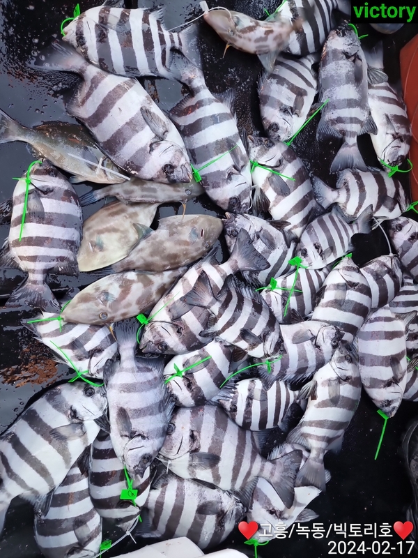 해당 선사를 대표하는 이미지