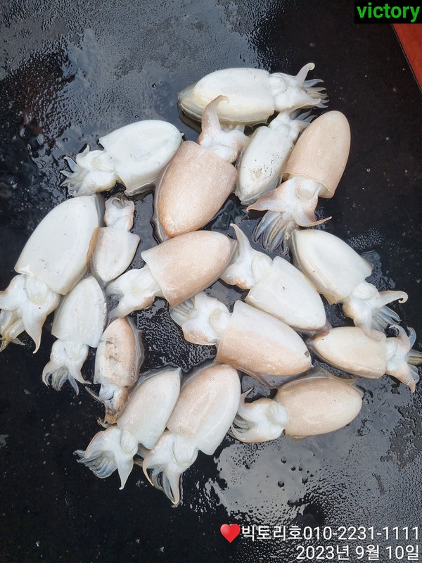 해당 선사를 대표하는 이미지