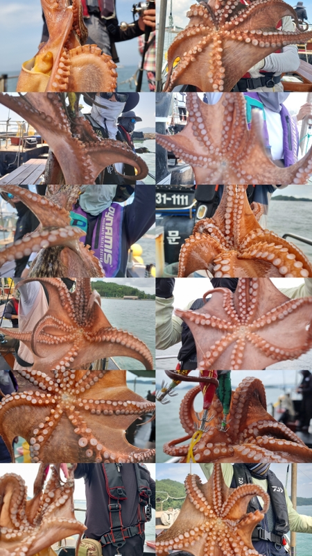 해당 선사를 대표하는 이미지