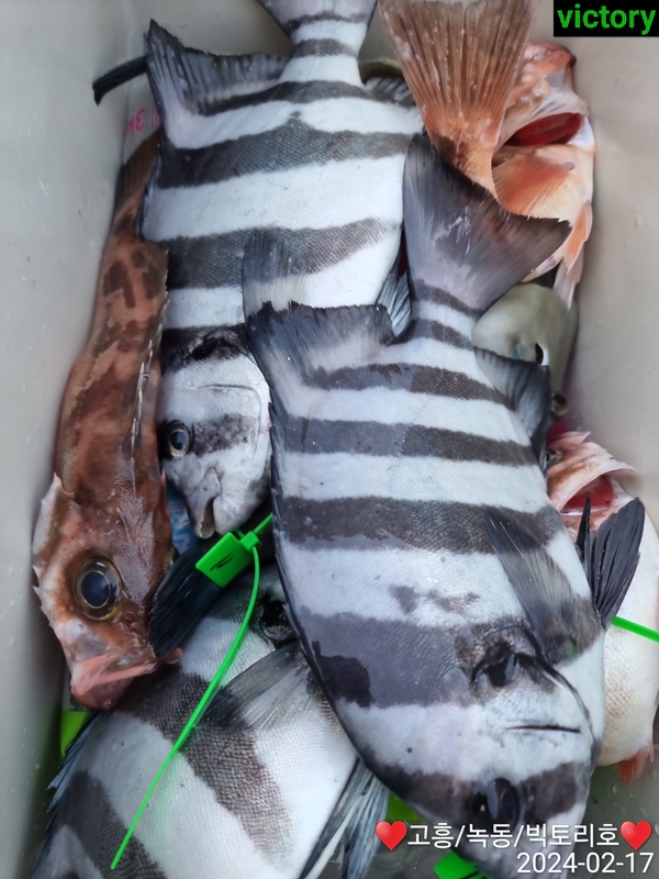 해당 선사를 대표하는 이미지