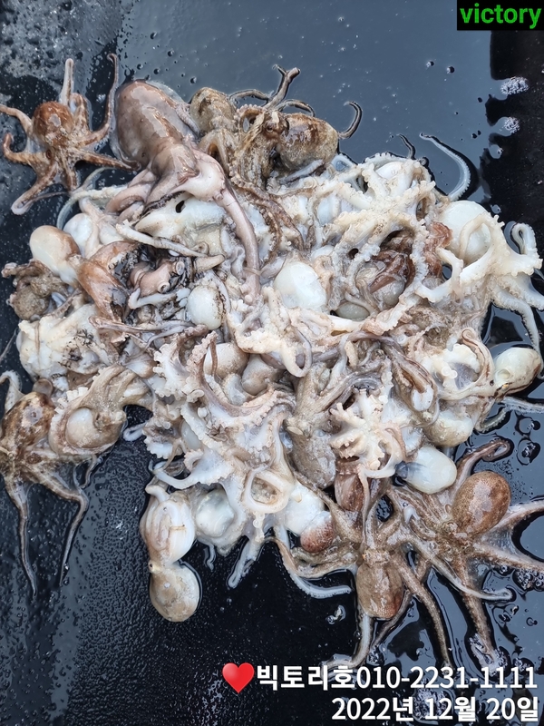 해당 선사를 대표하는 이미지