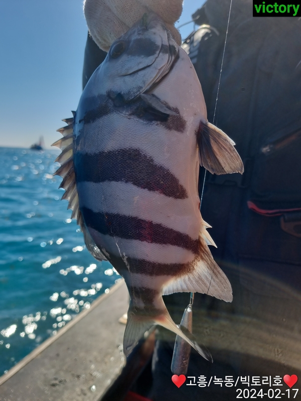 해당 선사를 대표하는 이미지
