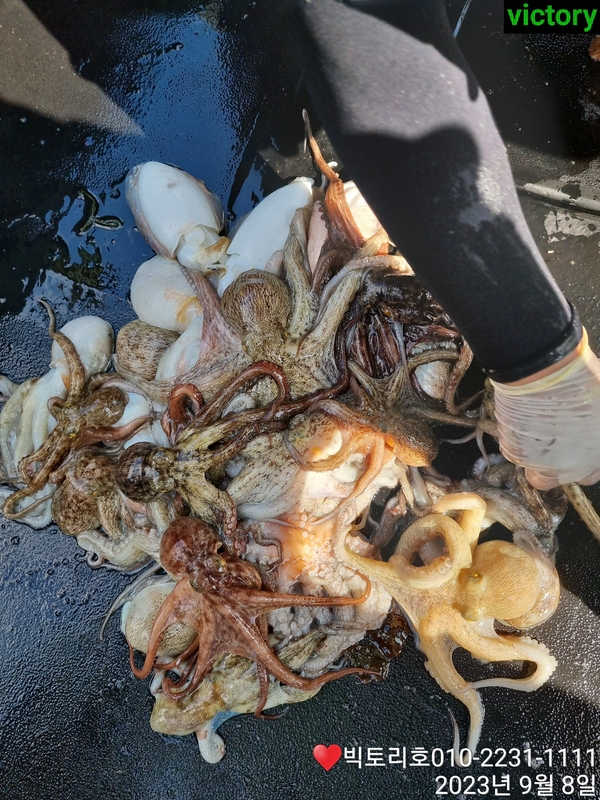 해당 선사를 대표하는 이미지