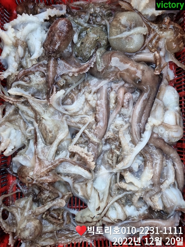 해당 선사를 대표하는 이미지