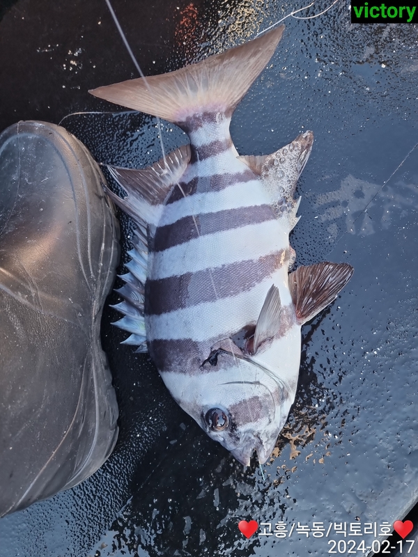 해당 선사를 대표하는 이미지